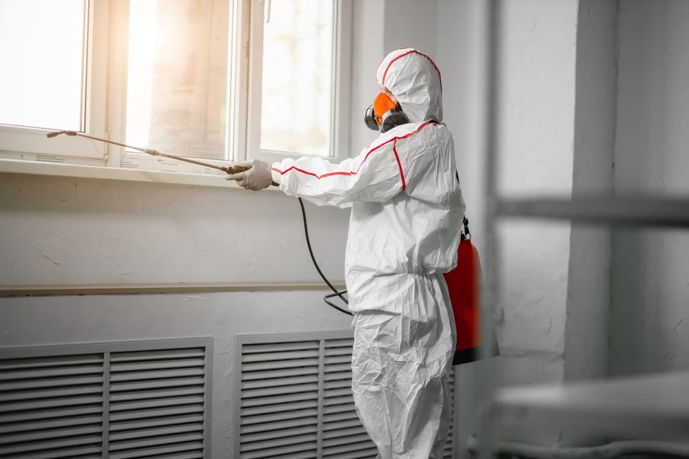 Professional mold remediation services in Montalba, TX